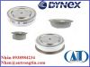 Chỉnh lưu Dynex - anh 1